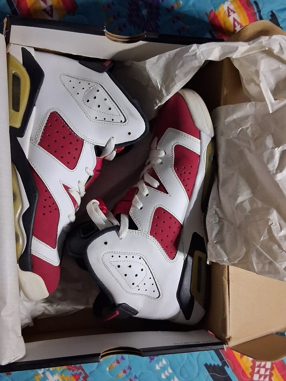 JORDAN CARMINES 6Y